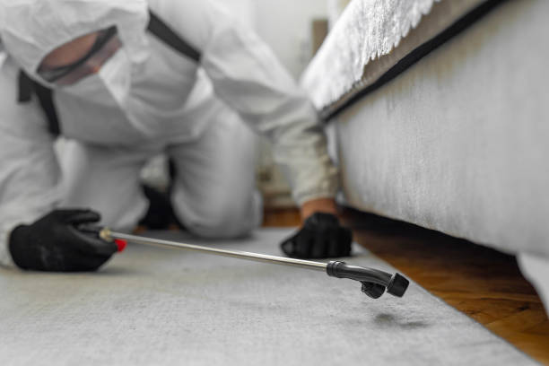 Professional Termite Control technician working in Baldwin, NY