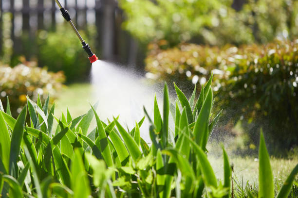 24/7 Emergency Termite Control experts in Baldwin, NY